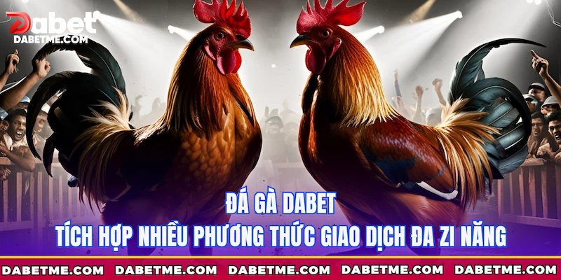 Đá gà Dabet tích hợp nhiều phương thức giao dịch đa zi năng